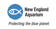 nea logo