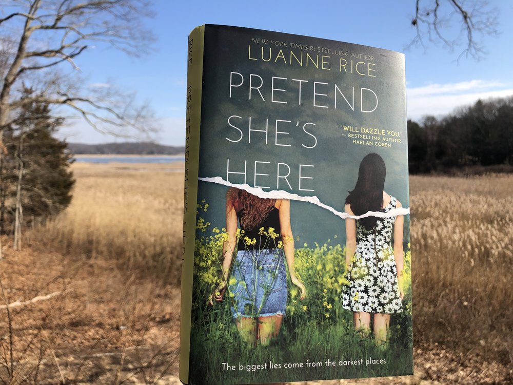 Book "Pretend She's Here" by Luanne Rice against the background of a meadow in late fall
