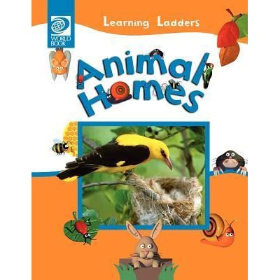 Animal Homes Tom Evans Cover